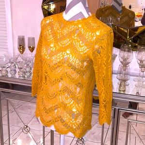 Mesh Mustard yellow long sleeve top